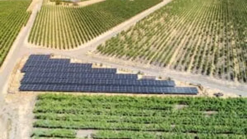 Aerial view of solar panels installed between rows of green agricultural fields under sunlight.