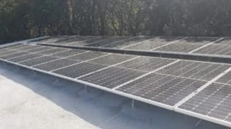 Rows of solar panels installed on a flat rooftop with trees in the background on a sunny day