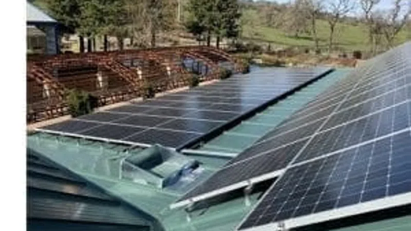 Solar panels installed on a green rooftop with trees and a wooden fence in the background under a clear blue sky.