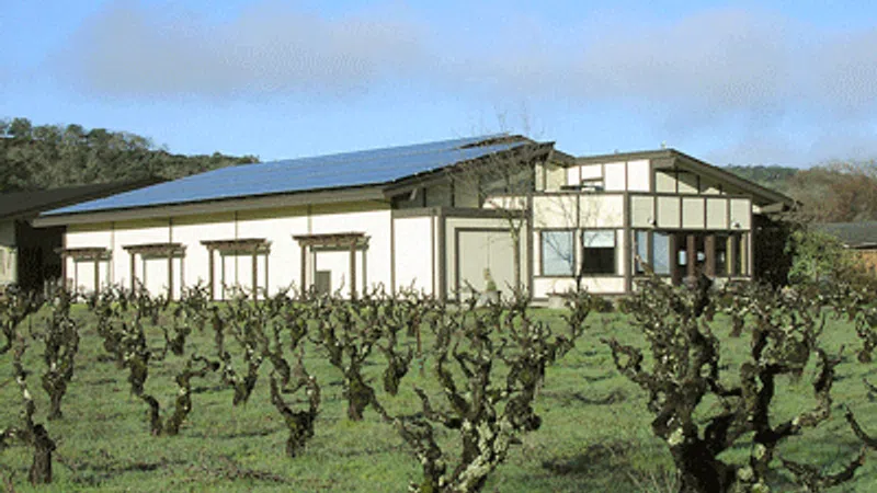 Modern winery building with solar panels surrounded by pruned grapevines under clear blue sky.
