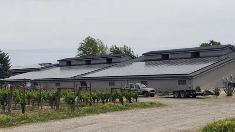 Large agricultural buildings with solar panel roofs beside a vineyard and dirt road under a cloudy sky.