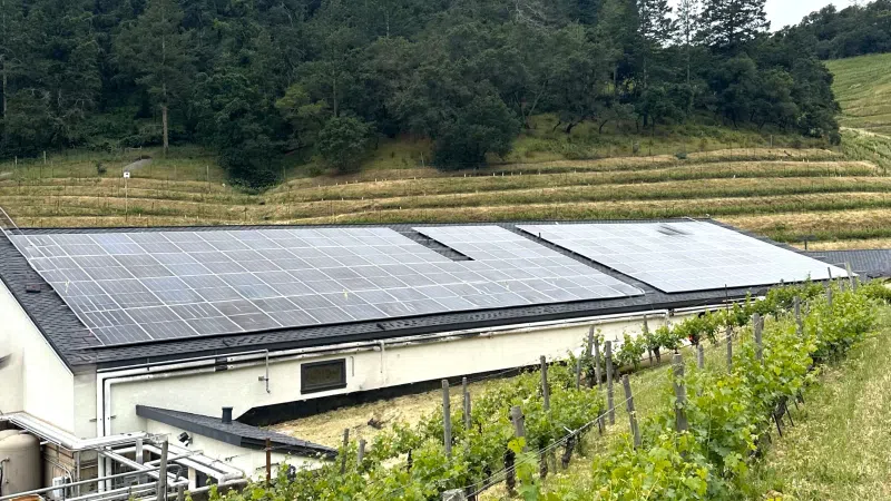 Solar panels installed on a building roof next to a vineyard with green hills and trees in the background
