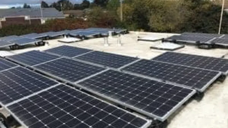 Rooftop solar panels installed on flat roof with clear sky and trees in the background.