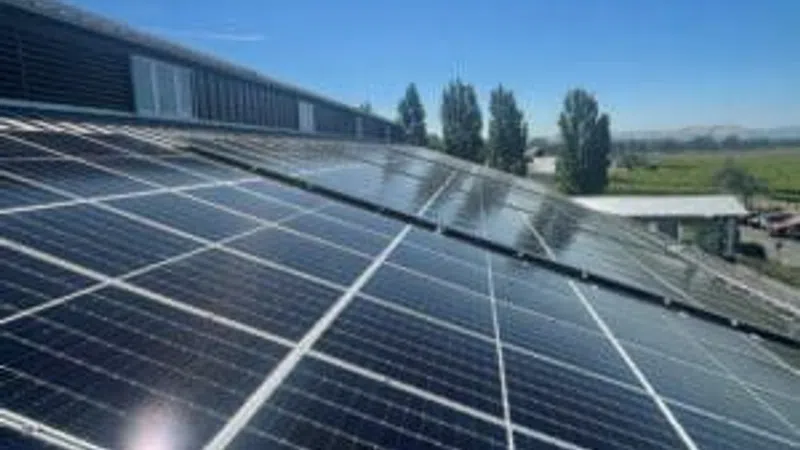 Solar panels installed on a rooftop under clear blue sky with trees and landscape in the background.