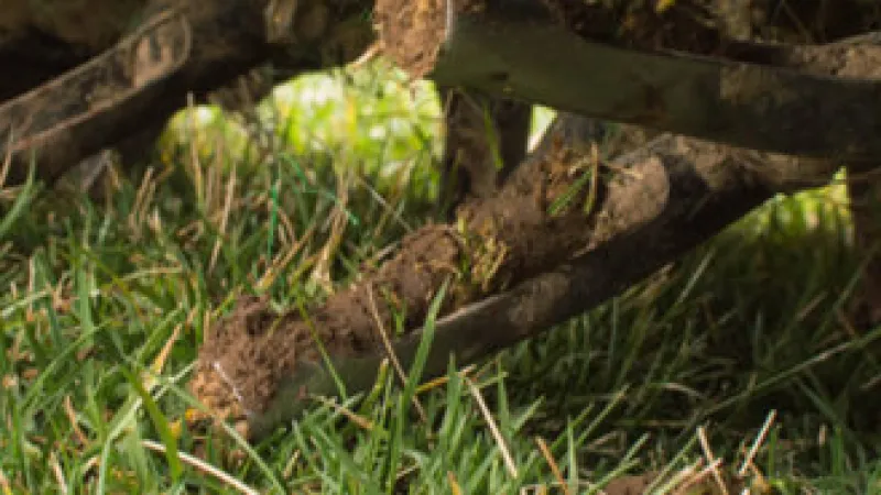 Benefits of Aeration