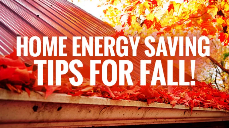 a roof with fall leaves