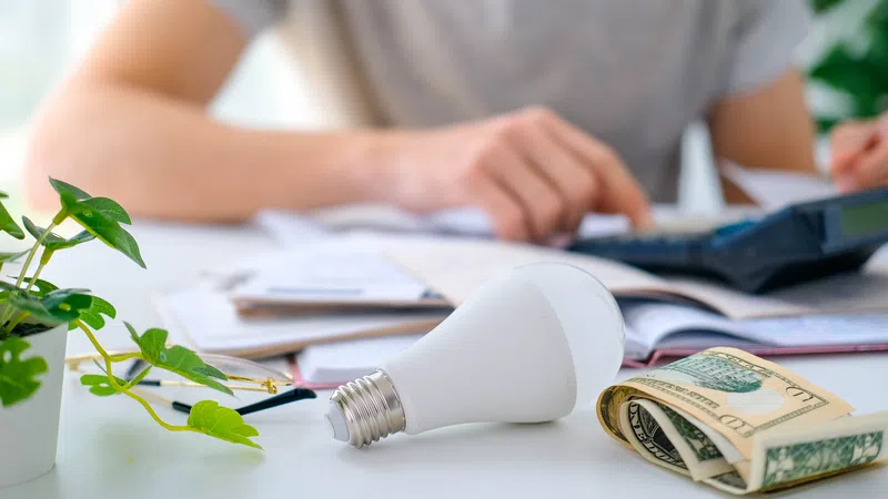 Person calculating bills with LED light bulb, cash, and a small green plant on table representing energy savings.