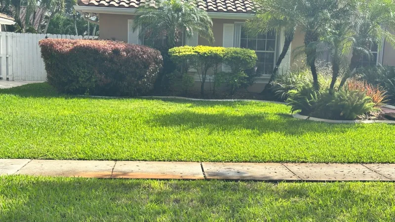 Green front yard with neatly trimmed bushes and a palm tree in front of a beige house with tiled roof