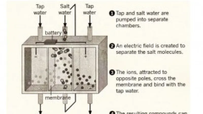 Can Alkaline Water Really Clean Your Carpets?