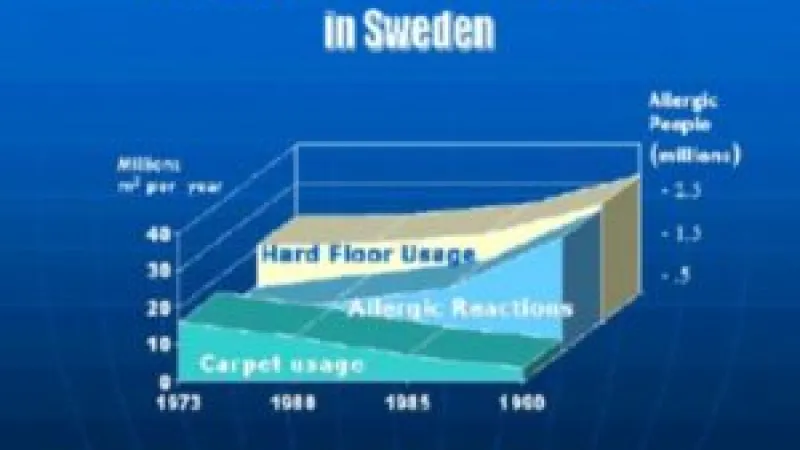 Carpet Allergies: Is There Really a Connection?