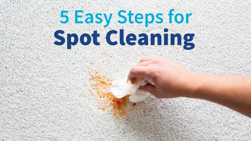 5 Easy Steps for Spot Cleaning Carpet