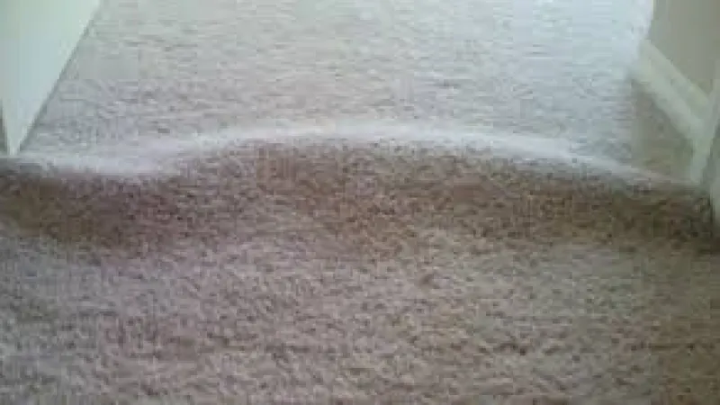 Why is my carpet rippling and lumpy after it got cleaned?