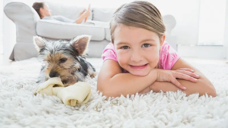 Zerorez Austin’s Cleaning is Safe for Kids and Pets