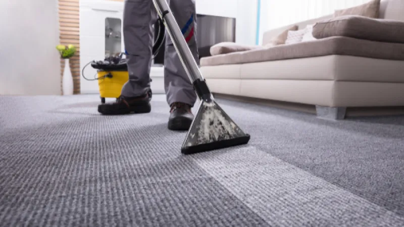 5 Tips and Tricks to Keep Your Carpet Clean