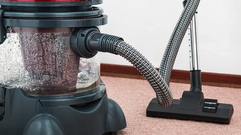 Why DIY Carpet Cleaning Could Cost You More Than It’s Worth