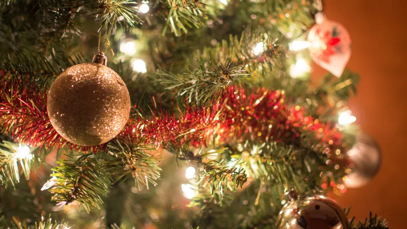 a tree with ornaments and lights