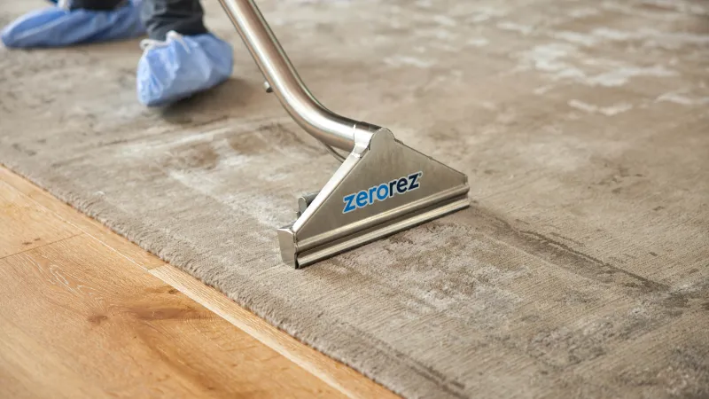 #1 Carpet Cleaning Company of 2022