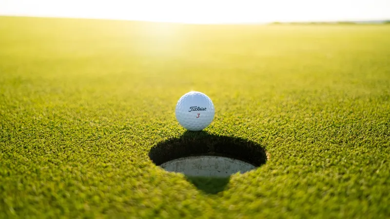 golf ball on a hole in the grass