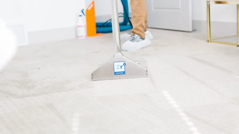 Carpet Cleaning with Zerorez® is Crucial During COVID-19