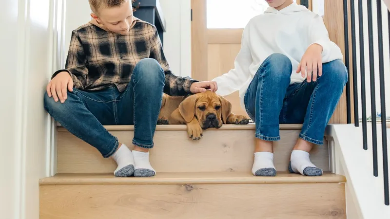 a couple of boys wearing socked feet sitting on hardwood stairs with a dog which creates slippery hardwood floors
