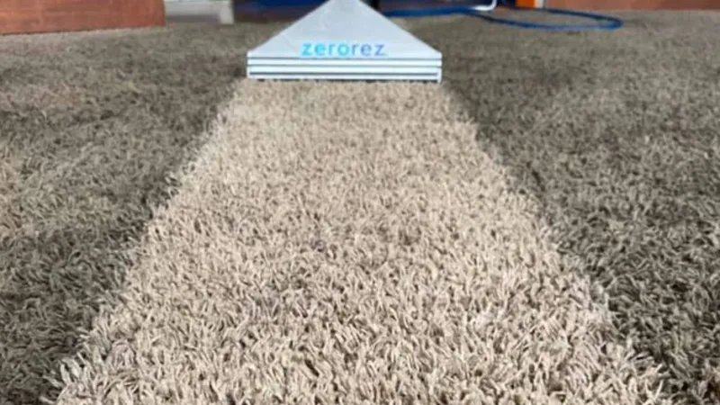 Carpet Cleaning with Zerorez®