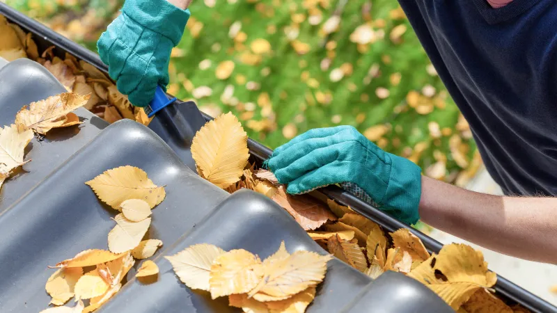 Inspect and Clean Your Gutters