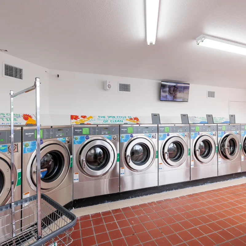 Friendly Laundry Tampa | Aaxon