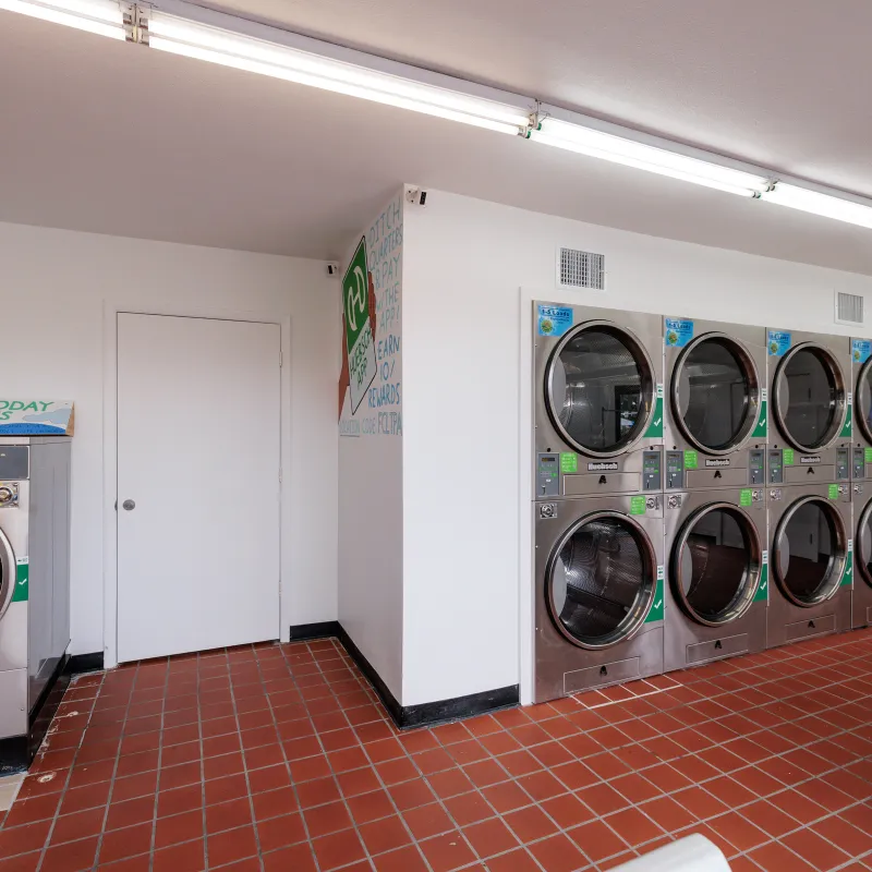 Friendly Laundry Tampa | Aaxon