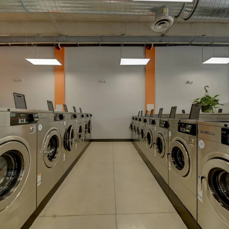 laundromart north lauderdale | Statewide