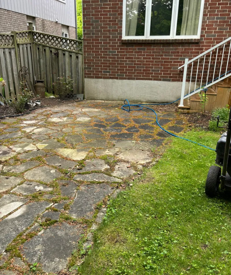 Outdoor stone patio with moss and grass patches next to a brick house before Men In Kilts cleaned