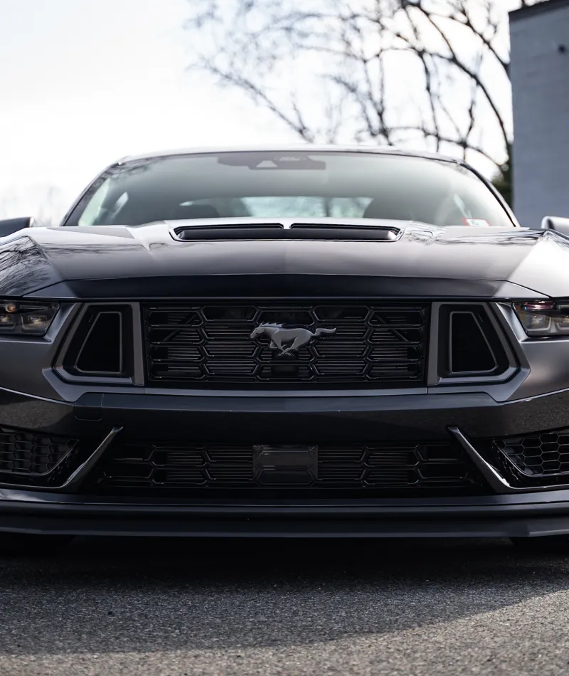 Front view of a sleek black Ford Mustang parked on a street with trees and buildings in the background