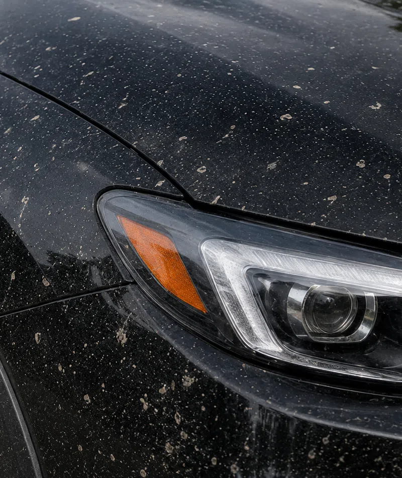 Close-up of a black car's front headlight and fender covered in mud splatters.