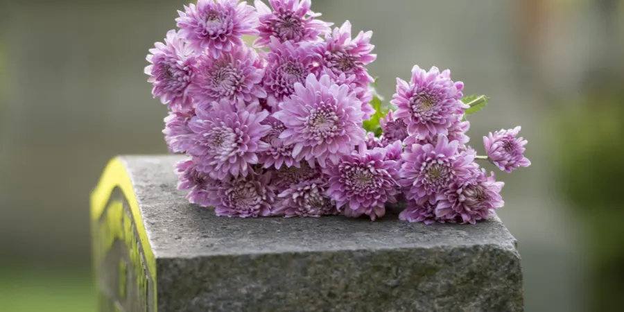 a vase with purple flowers