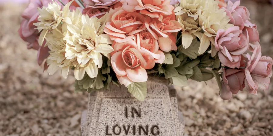 a vase of pink flowers