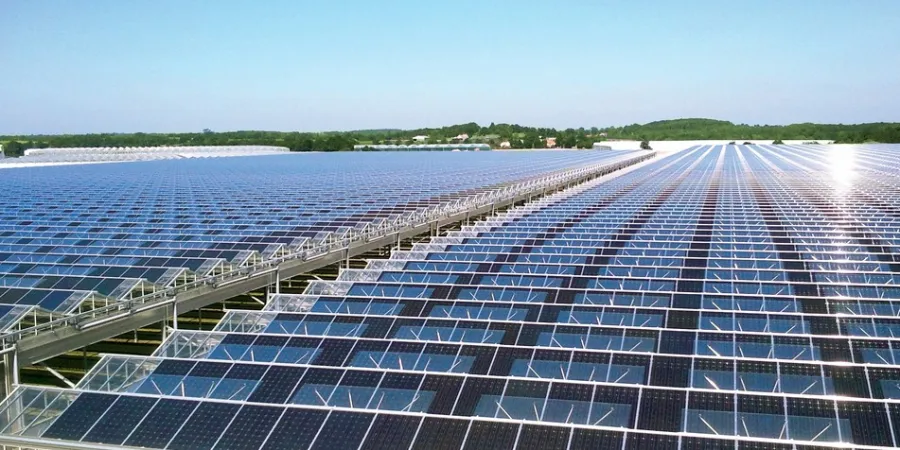 a large group of solar panels