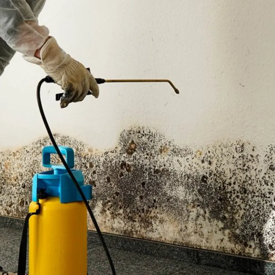 Mold cleanup is best left to professionals