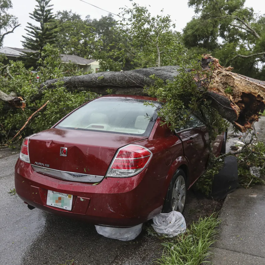 We offer storm damage services of all kinds