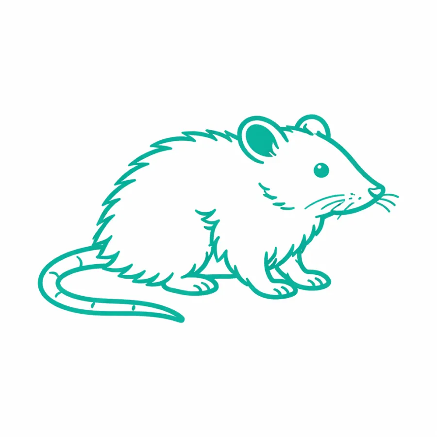 Simple teal line drawing of a rat with detailed ears, whiskers, and long tail on white background