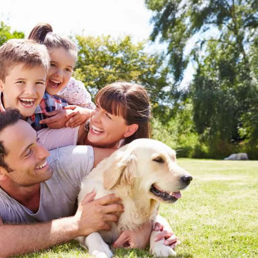 a family with a dog