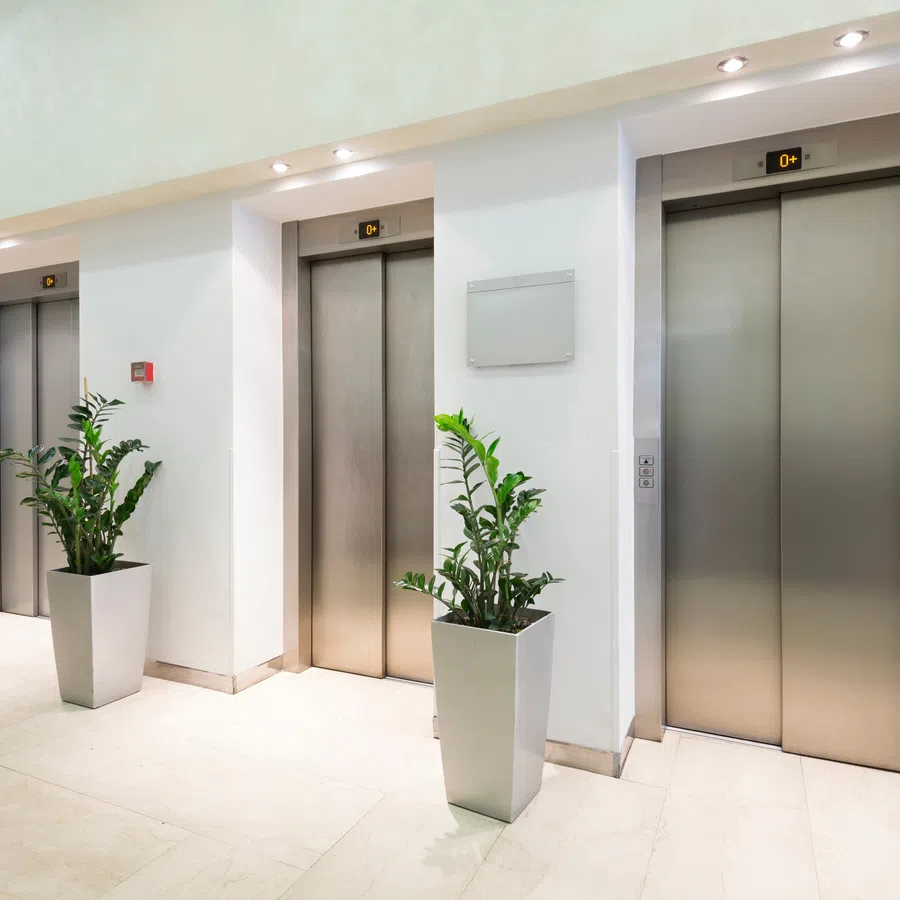 Three closed stainless steel elevator doors in a modern lobby with white walls and potted plants.