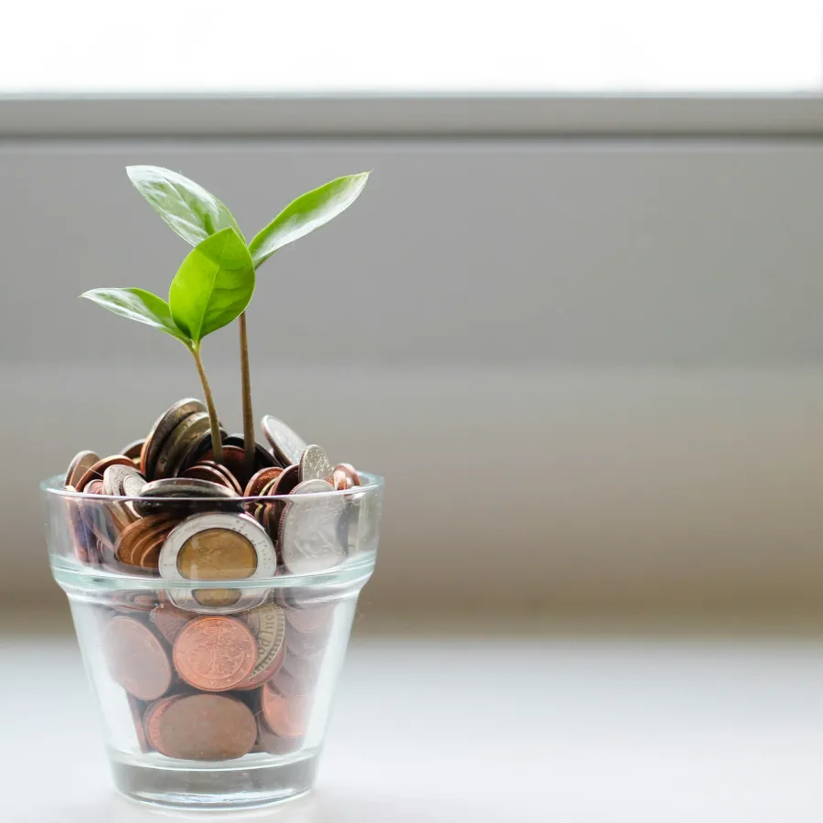 Green plant sprouting from a glass filled with coins symbolizing growth and financial investment.