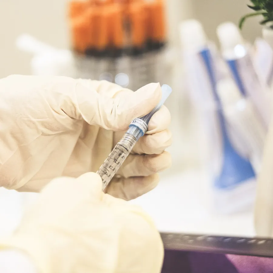 a person wearing gloves and a white glove holding a syringe