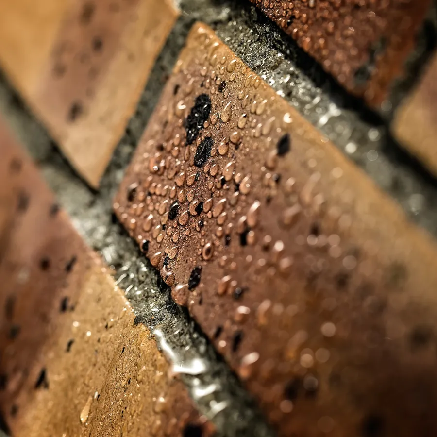 a close up of a piece of wood