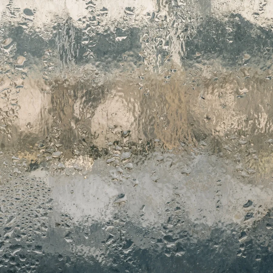 Dry VS Humid Air: Is Humidity Good at Home?