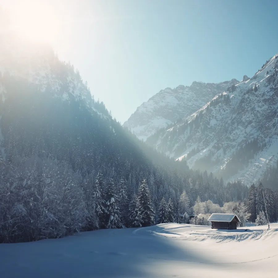 a snowy landscape with trees and mountains