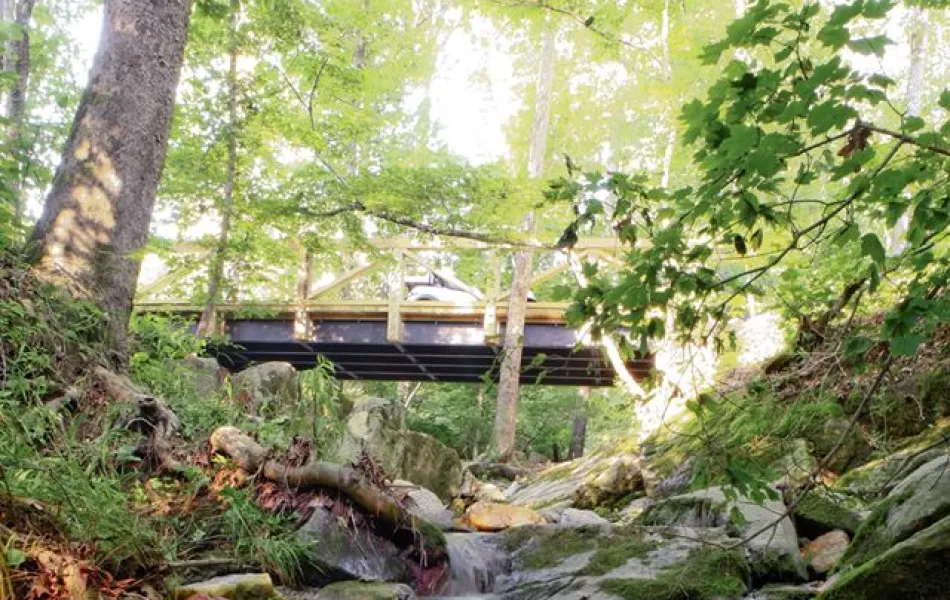 a creek running through a trail at NatureWalk