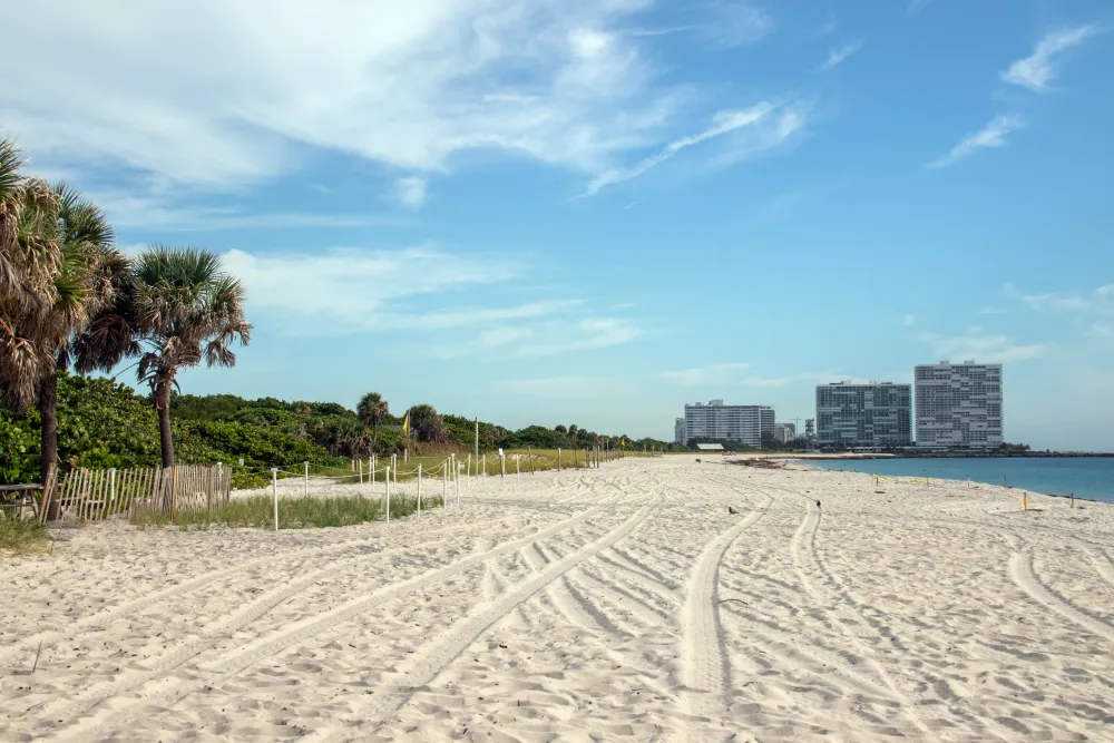 a sandy beach with palm trees and buildings in the background