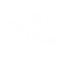 White symmetrical snowflake icon with six branches on a black background.