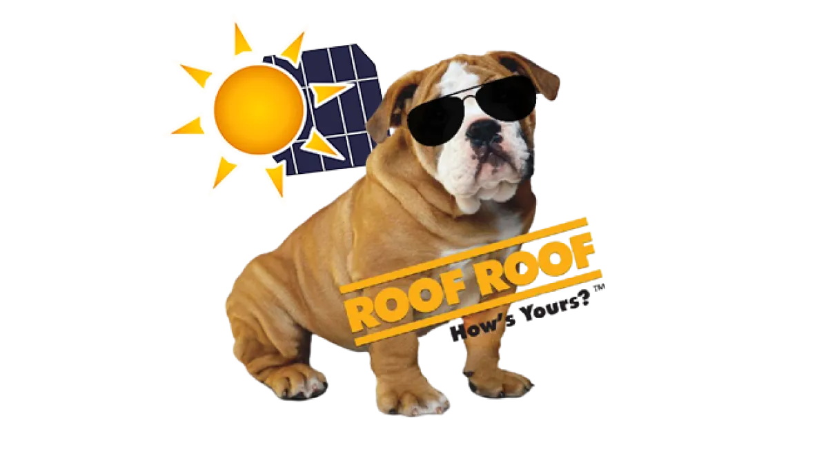 Solar Findlay Roofing