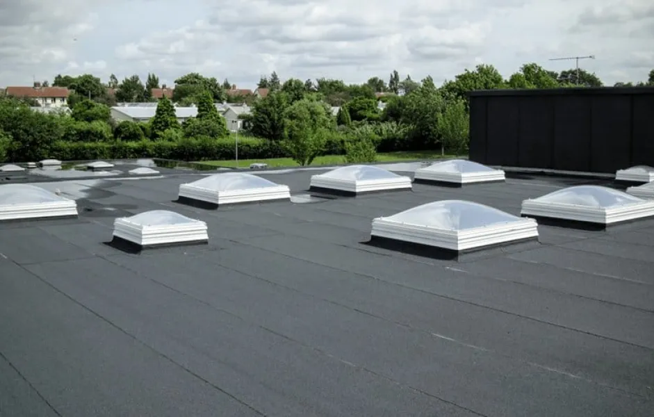 a group of white squares on a paved area with trees in the background